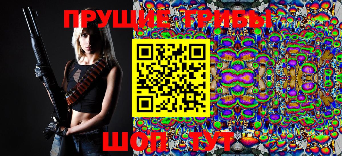 Галлюциногенные грибы MAGIC MUSHROOMS  Вход с VPN  Курчалой 